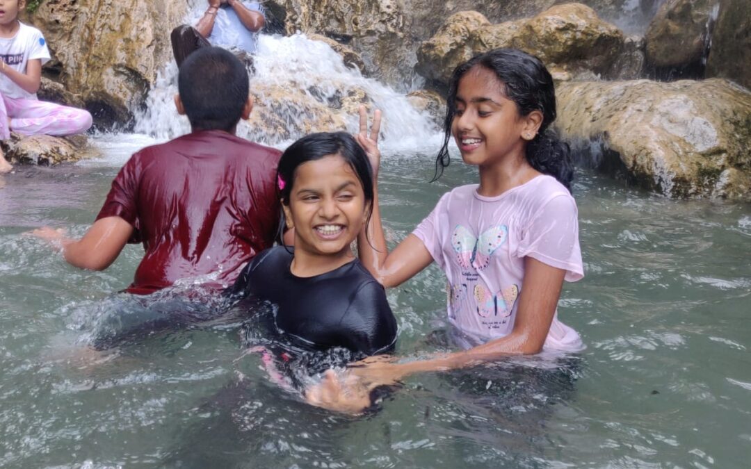 Learning to Live Together: AuroValley OLE